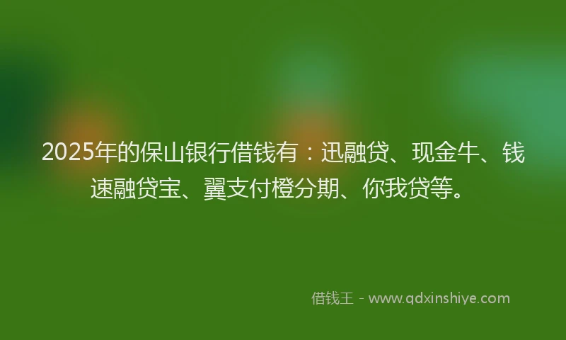 2025年的保山银行借钱有：迅融贷、现金牛、钱速融贷宝、翼支付橙分期、你我贷等。