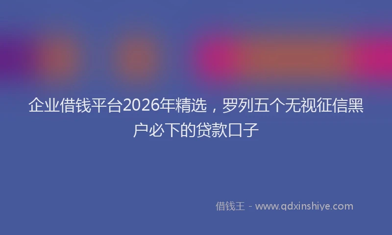 企业借钱平台2026年精选,罗列五个无视征信黑户必下的贷款口子