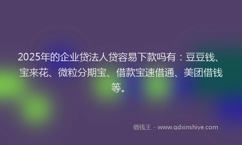 2025年的企业贷法人贷容易下款吗有：豆豆钱、宝来花、微粒分期宝、借款宝速借通、美团借钱等。