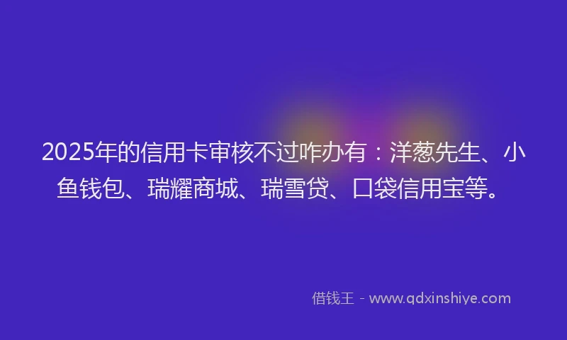 2025年的信用卡审核不过咋办有：洋葱先生、小鱼钱包、瑞耀商城、瑞雪贷、口袋信用宝等。