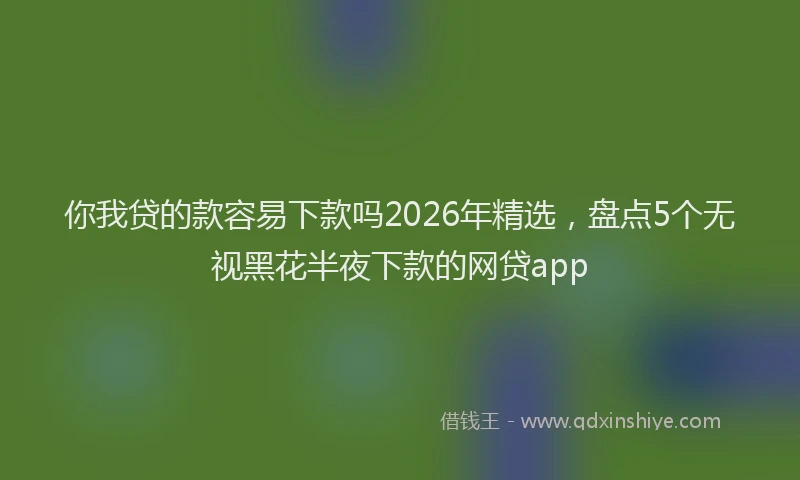 你我贷的款容易下款吗2026年精选，盘点5个无视黑花半夜下款的网贷app