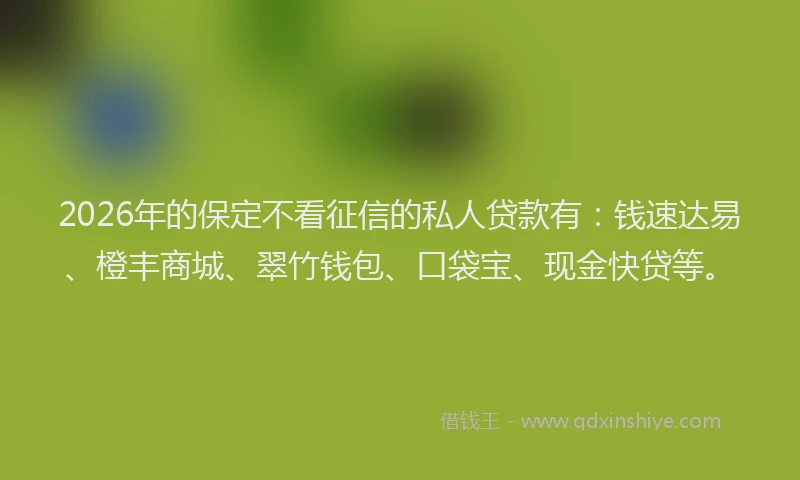 2026年的保定不看征信的私人贷款有：钱速达易、橙丰商城、翠竹钱包、口袋宝、现金快贷等。