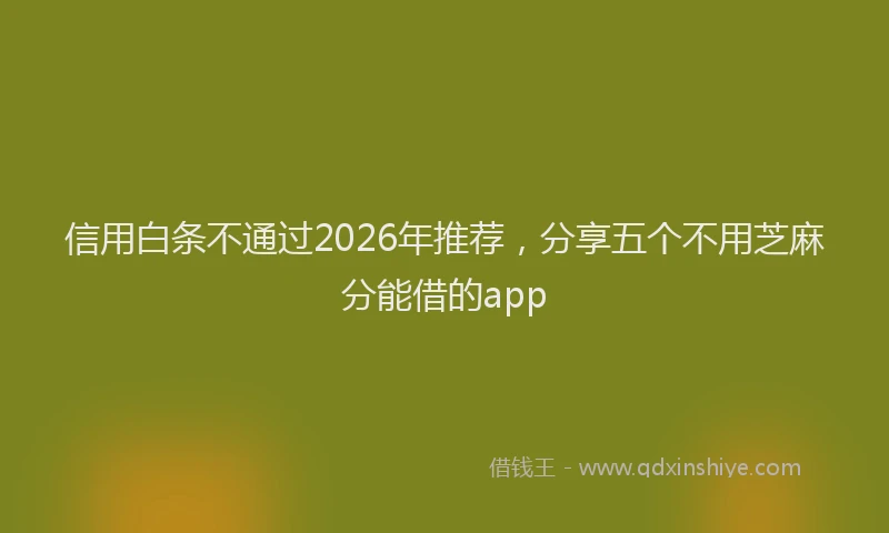 信用白条不通过2026年推荐，分享五个不用芝麻分能借的app