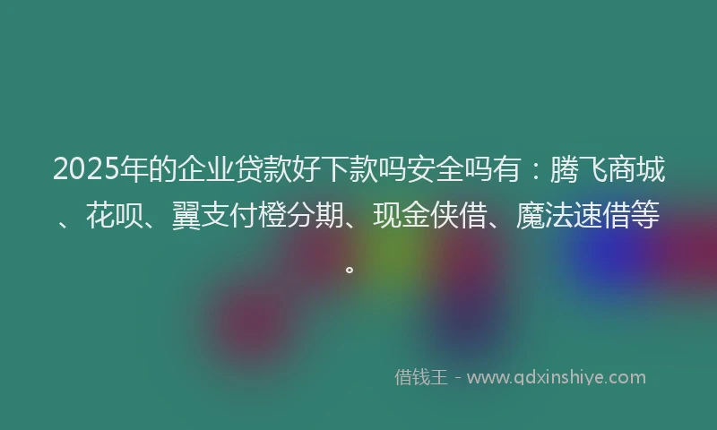 2025年的企业贷款好下款吗安全吗有：腾飞商城、花呗、翼支付橙分期、现金侠借、魔法速借等。