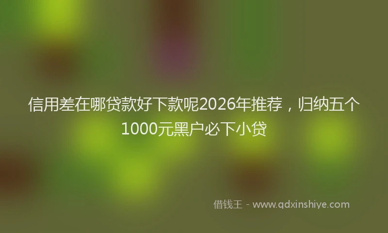 信用差在哪贷款好下款呢2026年推荐，归纳五个1000元黑户必下小贷