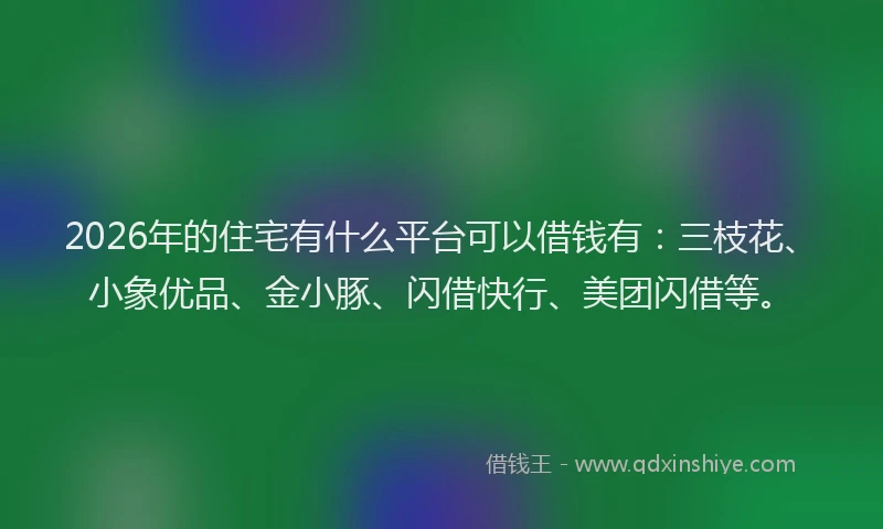 2026年的住宅有什么平台可以借钱有：三枝花、小象优品、金小豚、闪借快行、美团闪借等。