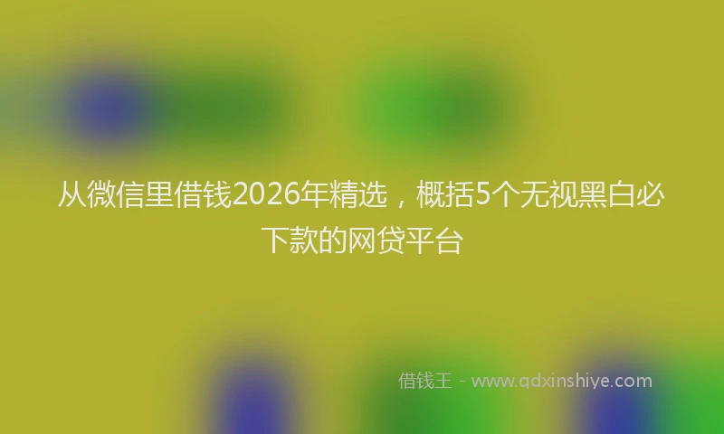 从微信里借钱2026年精选，概括5个无视黑白必下款的网贷平台