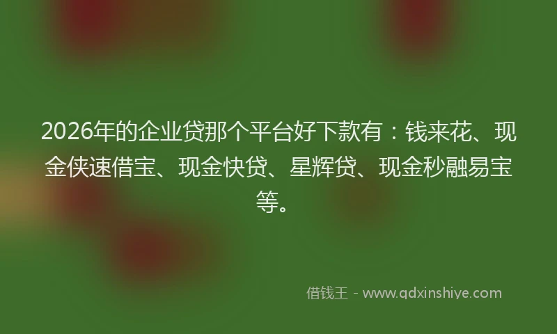 2026年的企业贷那个平台好下款有:钱来花、现金侠速借宝、现金快贷、星辉贷、现金秒融易宝等。