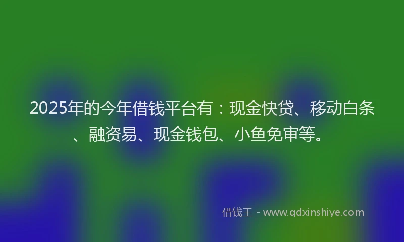 2025年的今年借钱平台有:现金快贷、移动白条、融资易、现金钱包、小鱼免审等。
