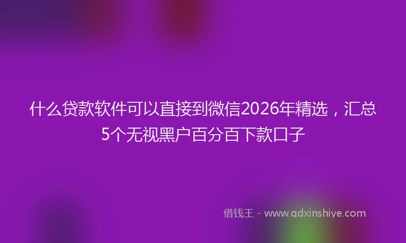 什么贷款软件可以直接到微信2026年精选，汇总5个无视黑户百分百下款口子