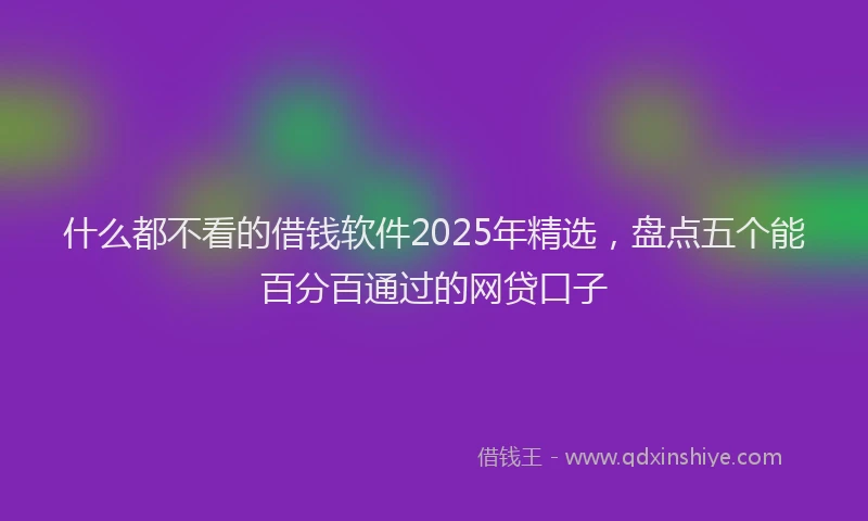 什么都不看的借钱软件2025年精选，盘点五个能百分百通过的网贷口子