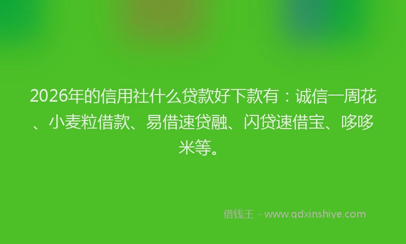2026年的信用社什么贷款好下款有：诚信一周花、小麦粒借款、易借速贷融、闪贷速借宝、哆哆米等。