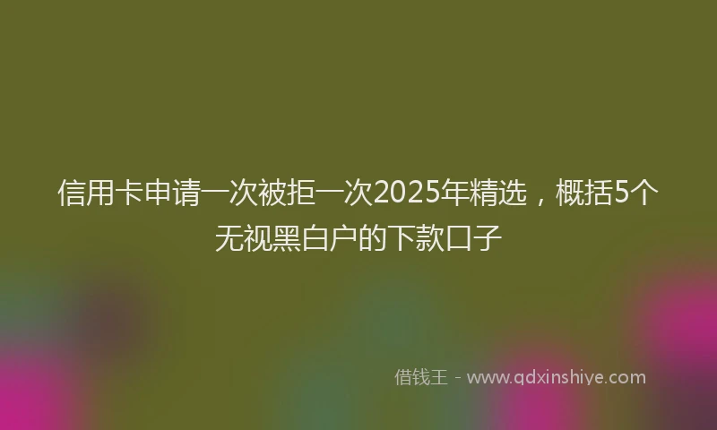 信用卡申请一次被拒一次2025年精选，概括5个无视黑白户的下款口子