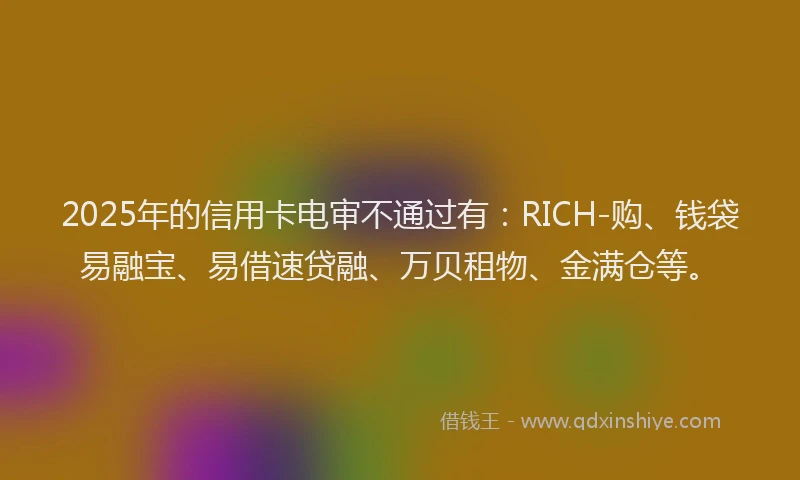 2025年的信用卡电审不通过有：RICH-购、钱袋易融宝、易借速贷融、万贝租物、金满仓等。