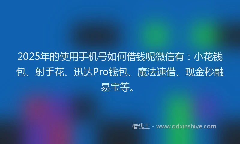 2025年的使用手机号如何借钱呢微信有：小花钱包、射手花、迅达Pro钱包、魔法速借、现金秒融易宝等。