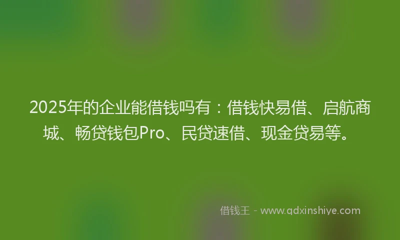 2025年的企业能借钱吗有：借钱快易借、启航商城、畅贷钱包Pro、民贷速借、现金贷易等。
