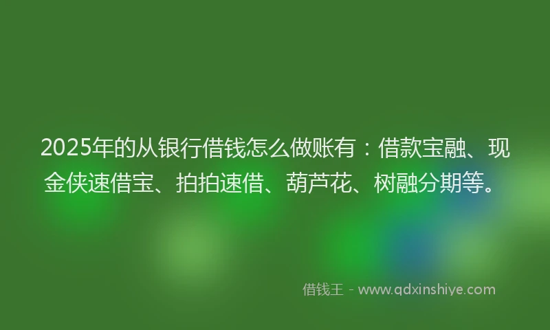 2025年的从银行借钱怎么做账有：借款宝融、现金侠速借宝、拍拍速借、葫芦花、树融分期等。