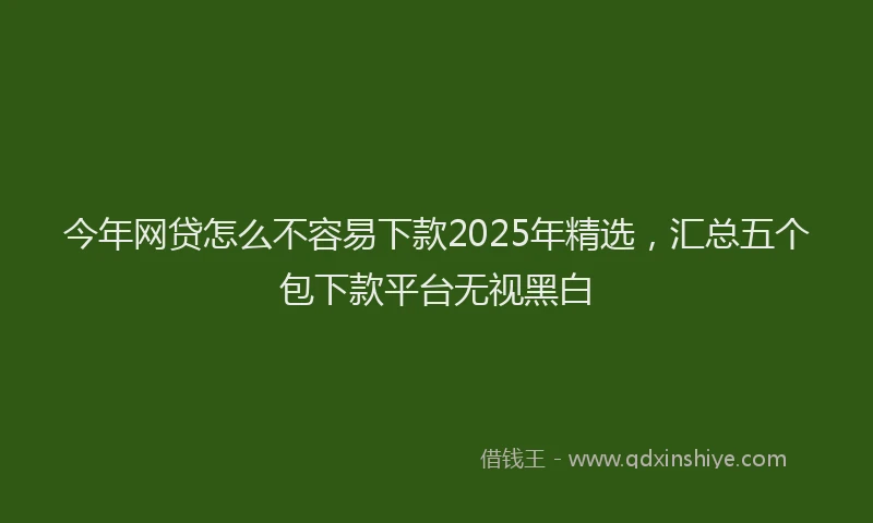 今年网贷怎么不容易下款2025年精选,汇总五个包下款平台无视黑白