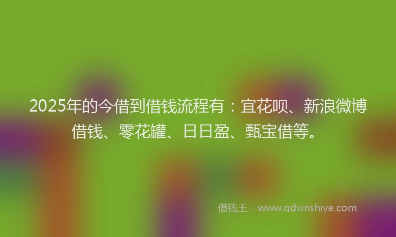 2025年的今借到借钱流程有：宜花呗、新浪微博借钱、零花罐、日日盈、甄宝借等。