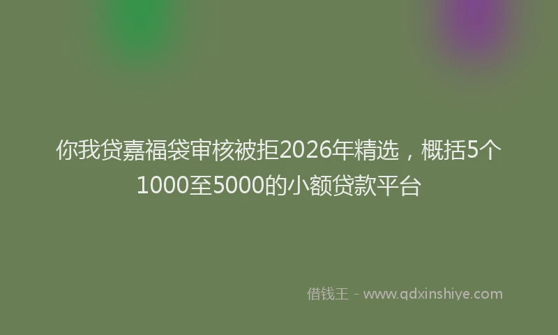 你我贷嘉福袋审核被拒2026年精选，概括5个1000至5000的小额贷款平台