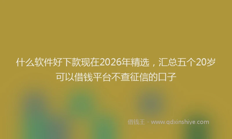 什么软件好下款现在2026年精选，汇总五个20岁可以借钱平台不查征信的口子