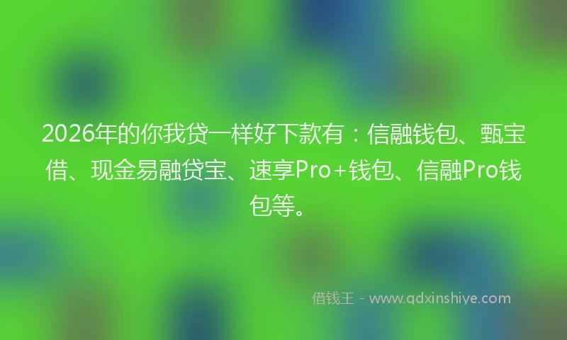 2026年的你我贷一样好下款有：信融钱包、甄宝借、现金易融贷宝、速享Pro+钱包、信融Pro钱包等。