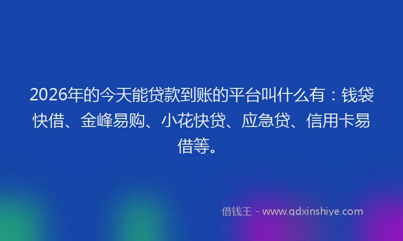 2026年的今天能贷款到账的平台叫什么有：钱袋快借、金峰易购、小花快贷、应急贷、信用卡易借等。