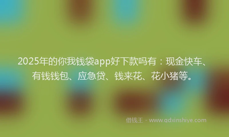 2025年的你我钱袋app好下款吗有:现金快车、有钱钱包、应急贷、钱来花、花小猪等。