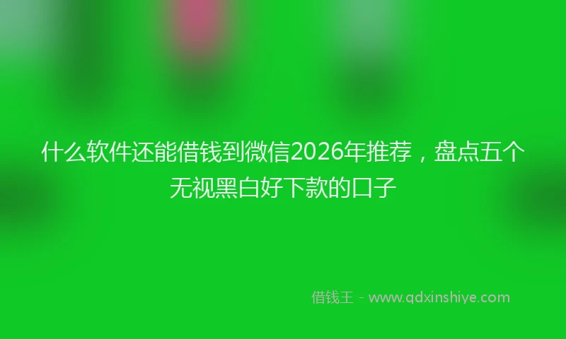 什么软件还能借钱到微信2026年推荐，盘点五个无视黑白好下款的口子