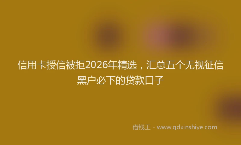 信用卡授信被拒2026年精选，汇总五个无视征信黑户必下的贷款口子