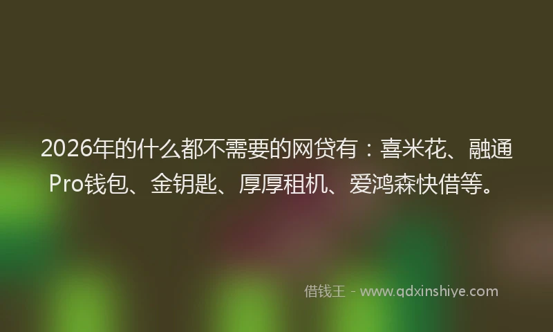 2026年的什么都不需要的网贷有：喜米花、融通Pro钱包、金钥匙、厚厚租机、爱鸿森快借等。