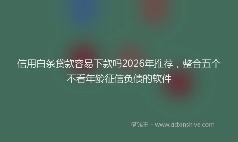 信用白条贷款容易下款吗2026年推荐，整合五个不看年龄征信负债的软件