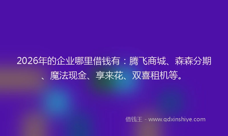 2026年的企业哪里借钱有:腾飞商城、森森分期、魔法现金、享来花、双喜租机等。