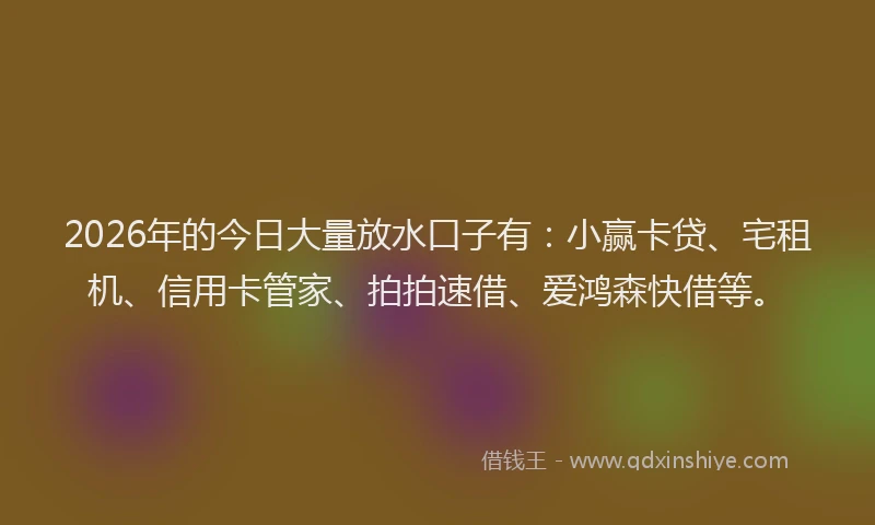 2026年的今日大量放水口子有：小赢卡贷、宅租机、信用卡管家、拍拍速借、爱鸿森快借等。