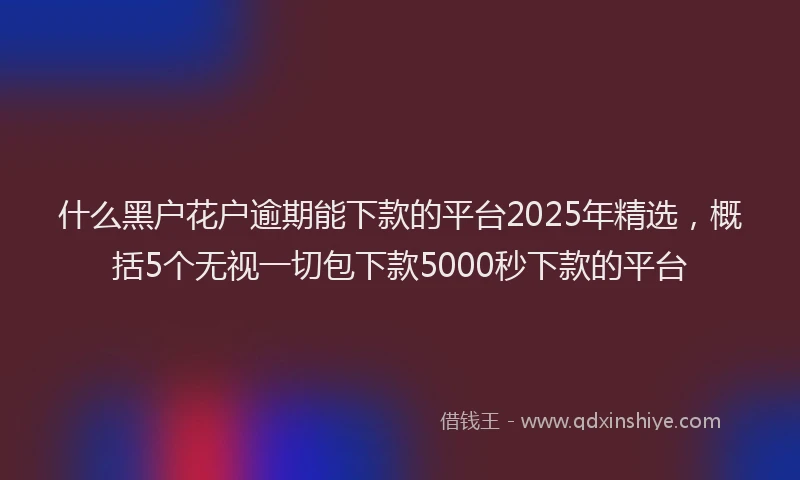 什么黑户花户逾期能下款的平台2025年精选，概括5个无视一切包下款5000秒下款的平台
