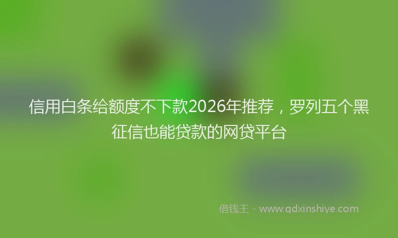 信用白条给额度不下款2026年推荐，罗列五个黑征信也能贷款的网贷平台