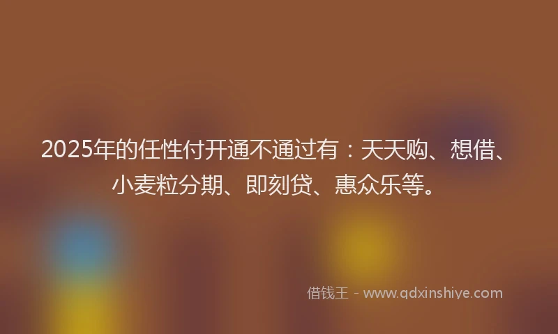 2025年的任性付开通不通过有：天天购、想借、小麦粒分期、即刻贷、惠众乐等。