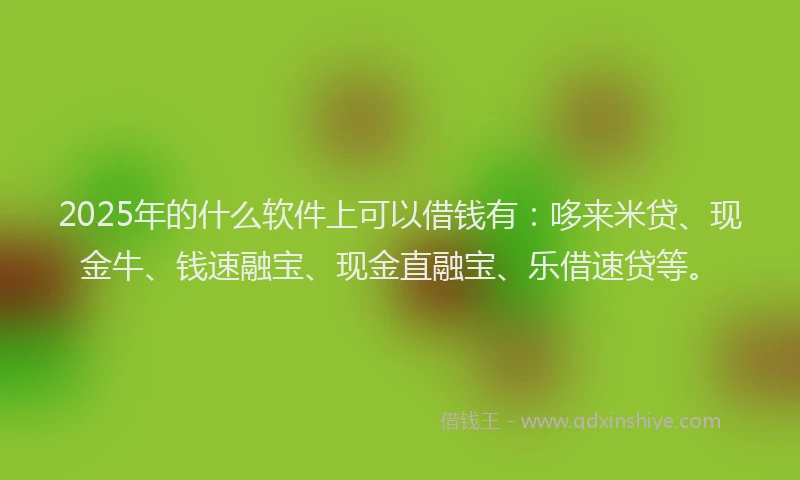 2025年的什么软件上可以借钱有：哆来米贷、现金牛、钱速融宝、现金直融宝、乐借速贷等。