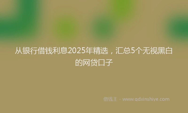 从银行借钱利息2025年精选,汇总5个无视黑白的网贷口子
