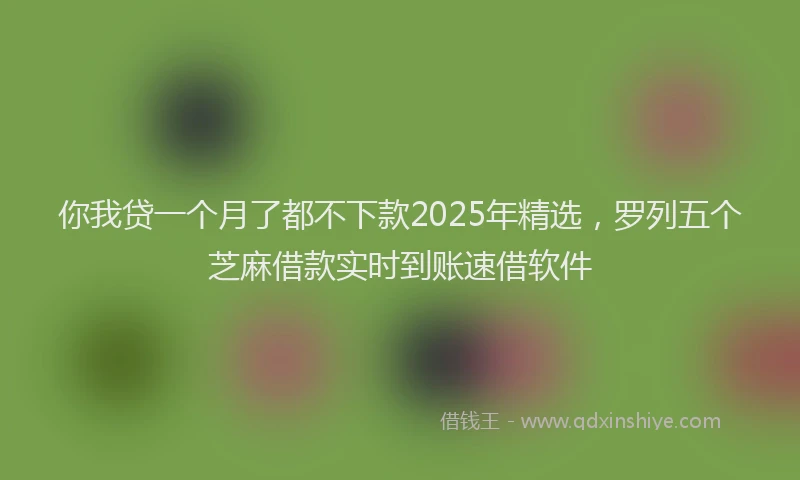 你我贷一个月了都不下款2025年精选，罗列五个芝麻借款实时到账速借软件