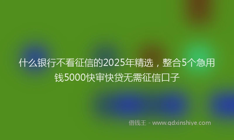 什么银行不看征信的2025年精选，整合5个急用钱5000快审快贷无需征信口子