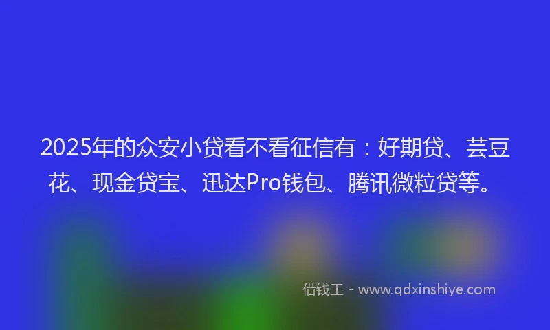 2025年的众安小贷看不看征信有：好期贷、芸豆花、现金贷宝、迅达Pro钱包、腾讯微粒贷等。