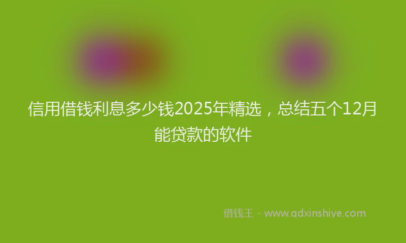 信用借钱利息多少钱2025年精选，总结五个12月能贷款的软件