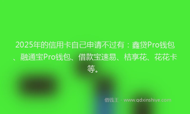 2025年的信用卡自己申请不过有：鑫贷Pro钱包、融通宝Pro钱包、借款宝速易、桔享花、花花卡等。