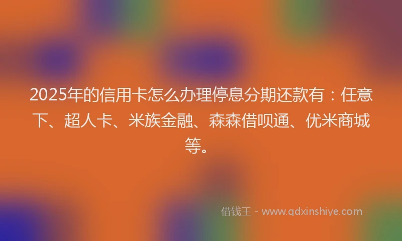 2025年的信用卡怎么办理停息分期还款有：任意下、超人卡、米族金融、森森借呗通、优米商城等。
