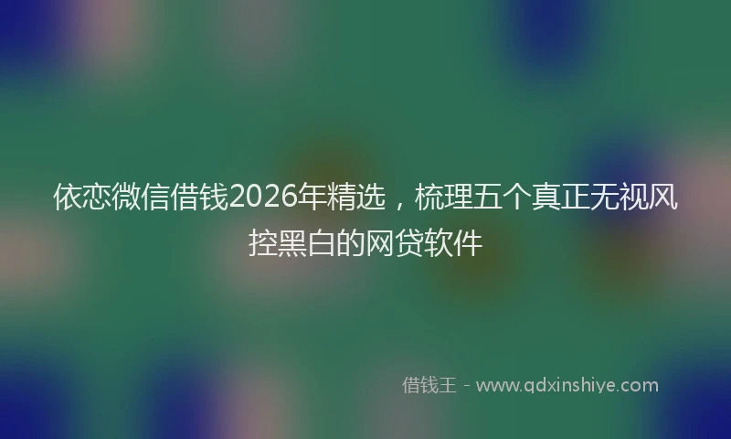 依恋微信借钱2026年精选，梳理五个真正无视风控黑白的网贷软件