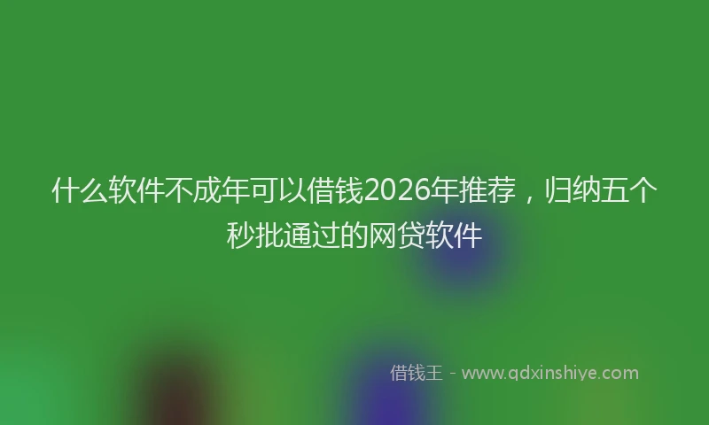 什么软件不成年可以借钱2026年推荐，归纳五个秒批通过的网贷软件
