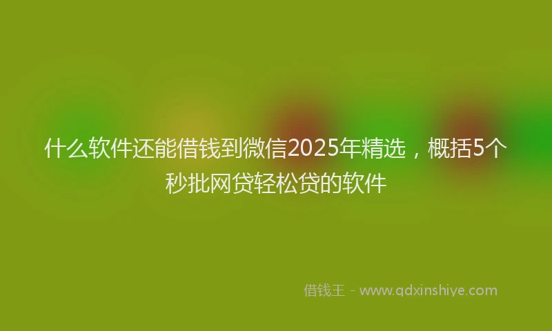 什么软件还能借钱到微信2025年精选，概括5个秒批网贷轻松贷的软件