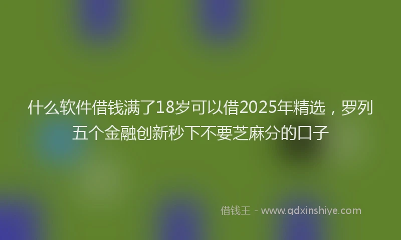 什么软件借钱满了18岁可以借2025年精选，罗列五个金融创新秒下不要芝麻分的口子