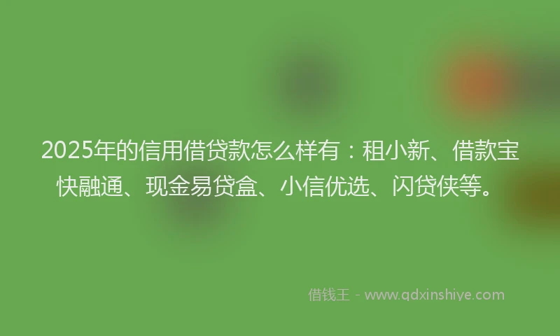 2025年的信用借贷款怎么样有：租小新、借款宝快融通、现金易贷盒、小信优选、闪贷侠等。